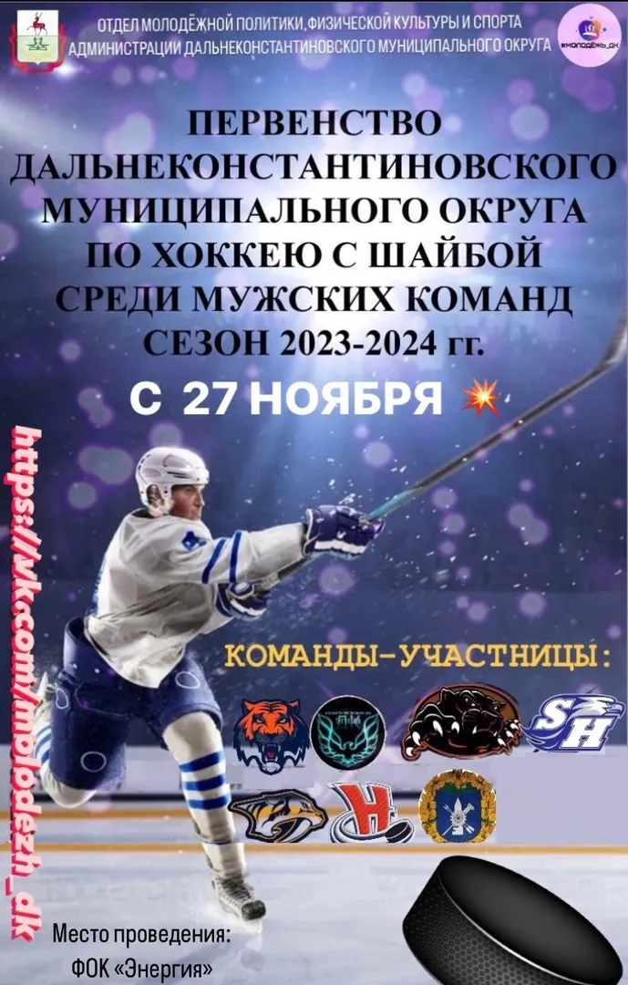 ПЕРВЕНСТВО ДАЛЬНЕКОНСТАНТИНОВСКОГО МУНИЦИПАЛЬНОГО ОКРУГА ПО ХОККЕЮ С ШАЙБОЙ СРЕДИ МУЖСКИХ КОМАНД